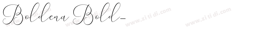 Boldena Bold字体转换